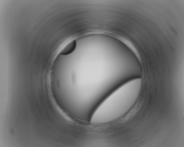 X0000114420906200910161051