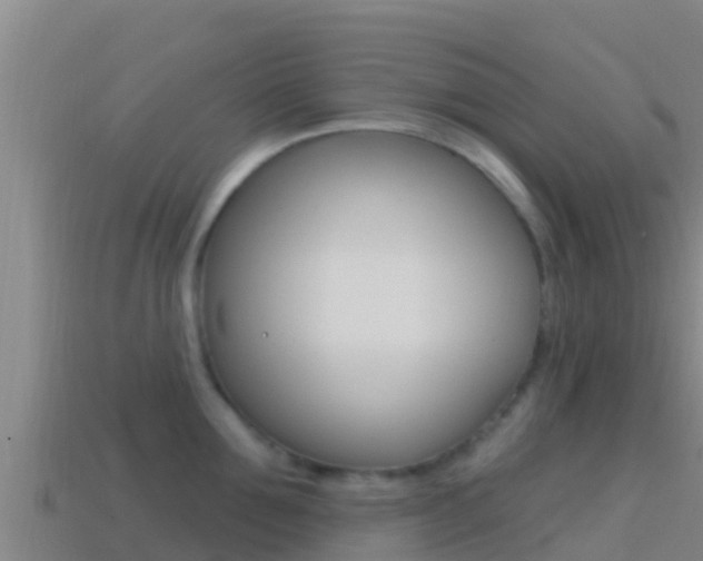 X0000114420907200910161051