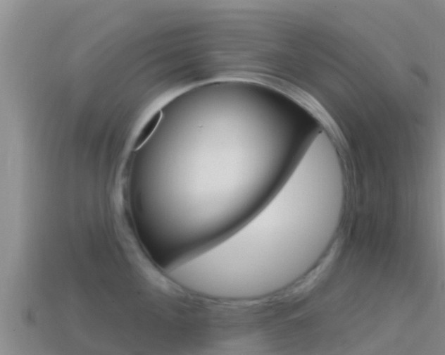 X0000114420908200910161051
