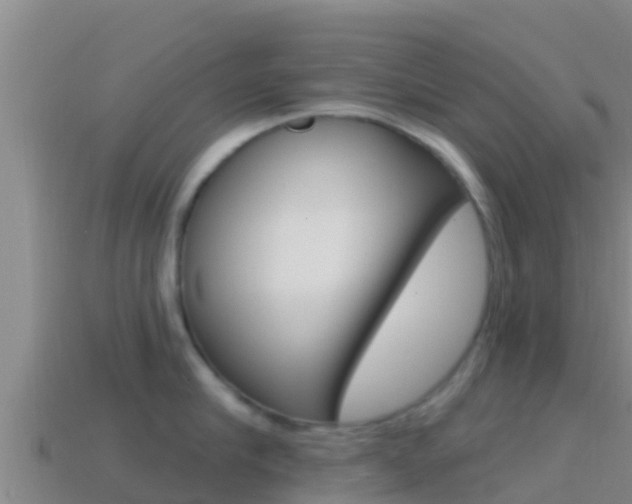 X0000114420910200910161051