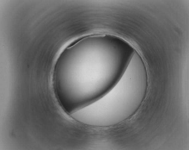 X0000114420912200910161051