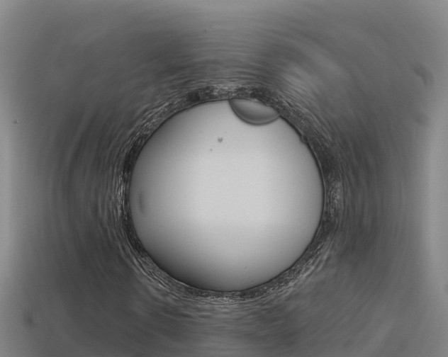 X0000114420914200910161050