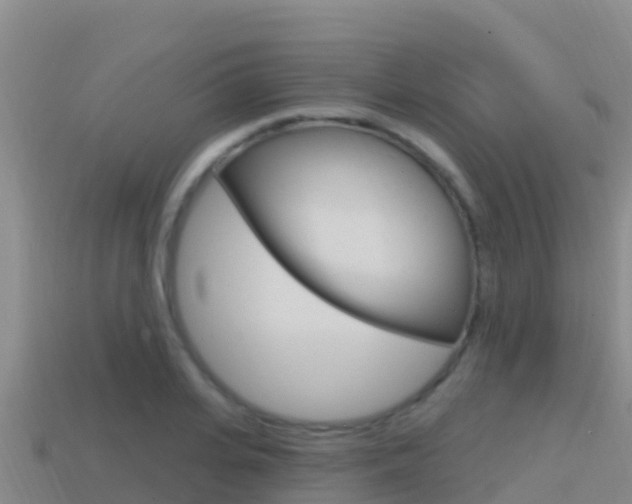 X0000114420935200910161050