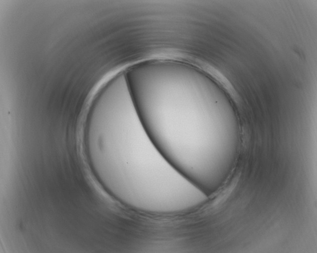 X0000114420939200910161050