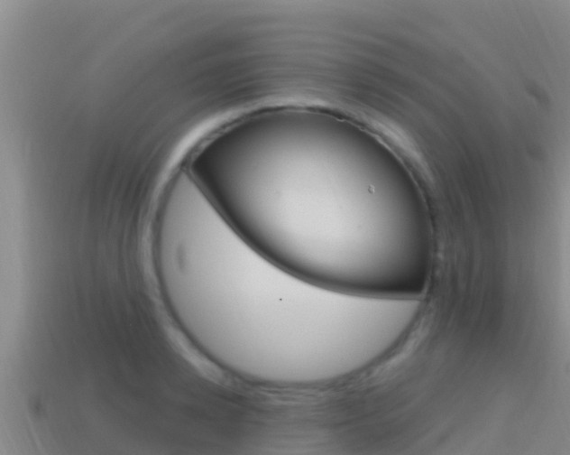 X0000114420942200910161050