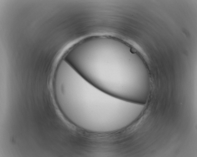X0000114420943200910161050