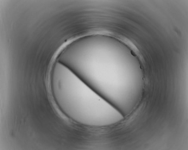 X0000114420947200910161050