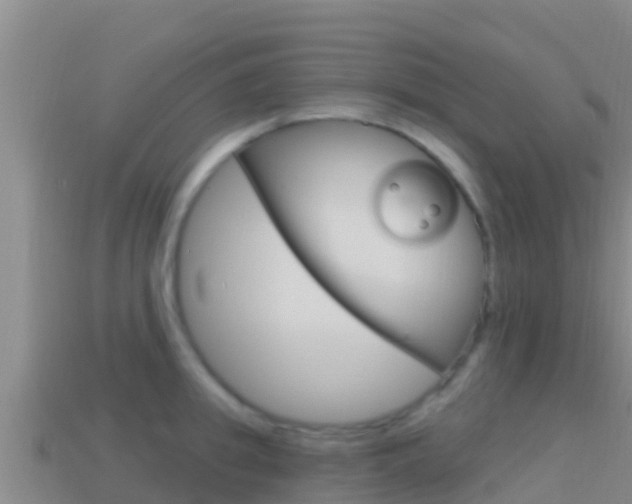 X0000114420949200910161050