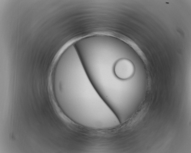 X0000114420955200910161051