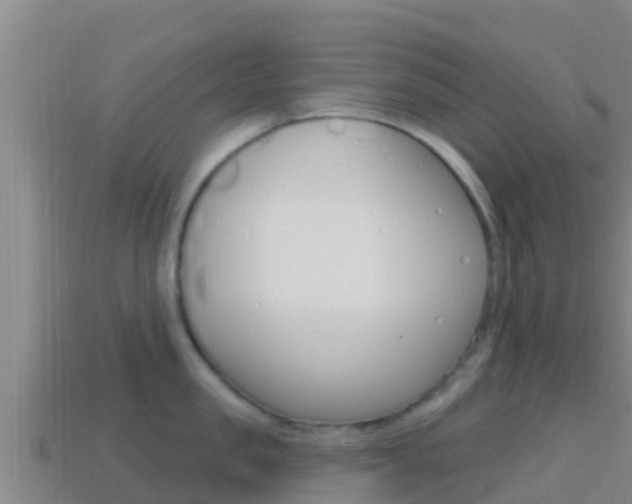 X0000114420957200910161051