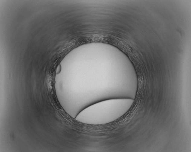 X0000114420962200910161050