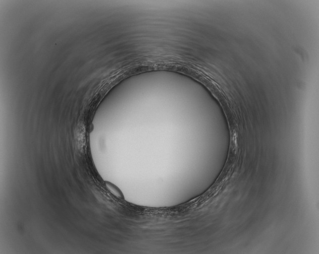 X0000114420963200910161050