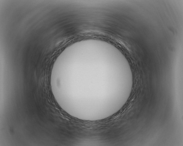 X0000114420965200910161050