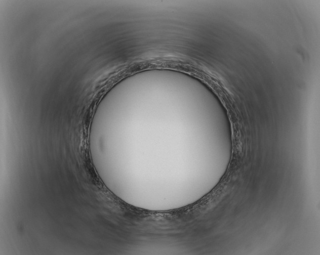 X0000114420966200910161050