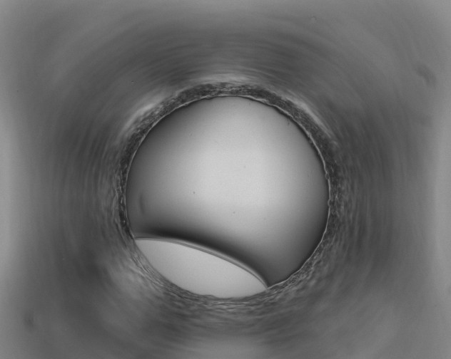 X0000114420967200910161050