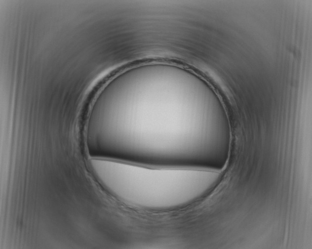 X0000114420975200910161050