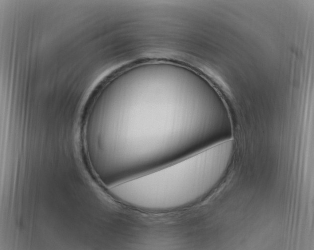X0000114420976200910161050