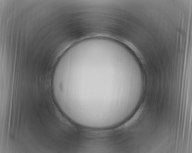 X0000114420977200910161050