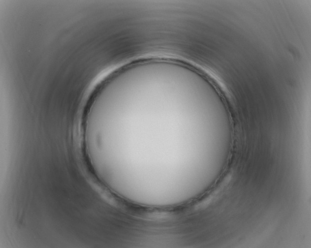 X0000114420982200910161049