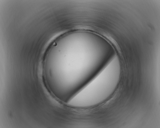 X0000114420984200910161049