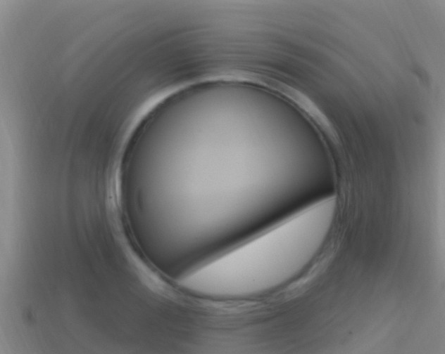 X0000114420988200910161049