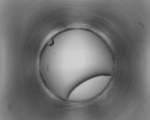 X0000114420990200910161049