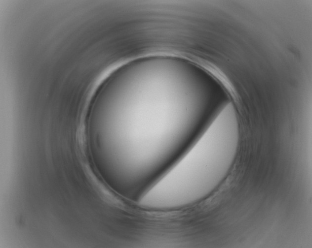 X0000114420996200910161049