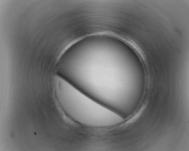 X0000114421001200910161049