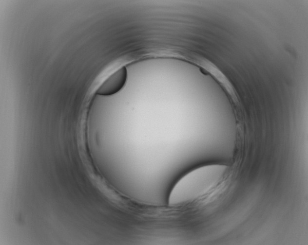 X0000114421002200910161049