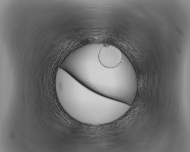 X0000114421009200910161048