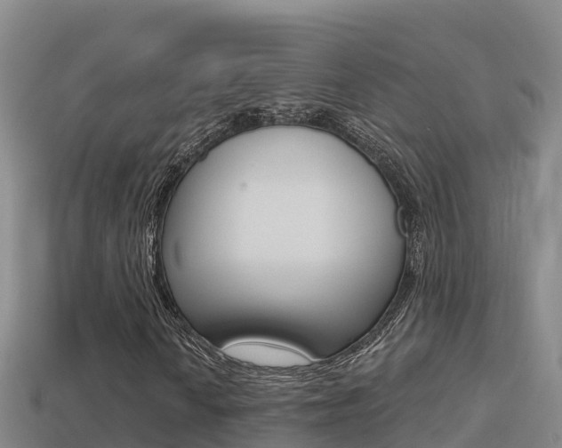 X0000114421010200910161048