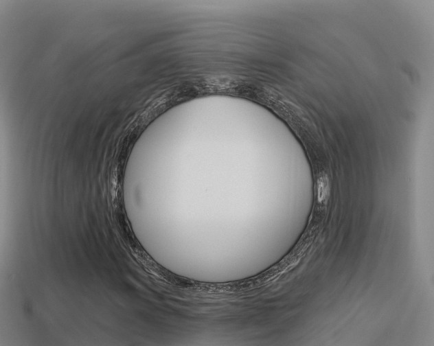 X0000114421011200910161048