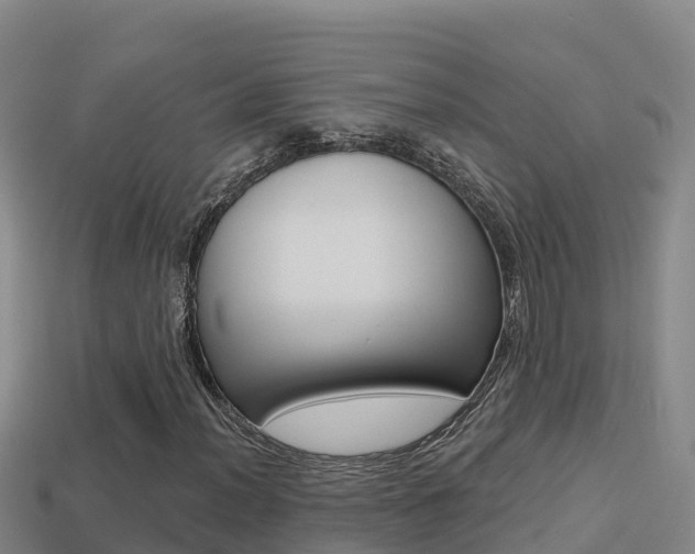 X0000114421012200910161048