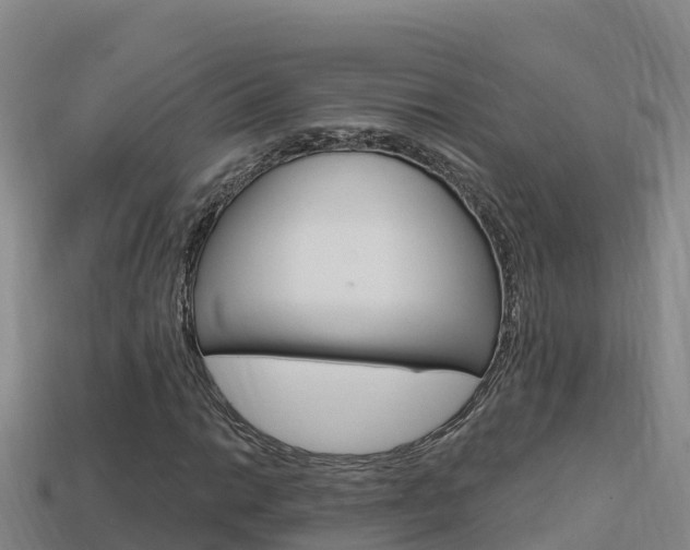 X0000114421014200910161048