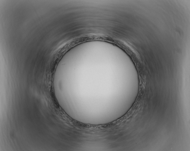 X0000114421015200910161048