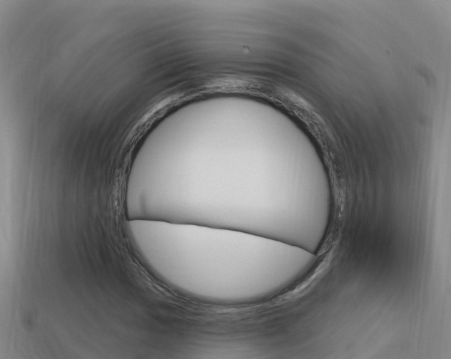 X0000114421017200910161049