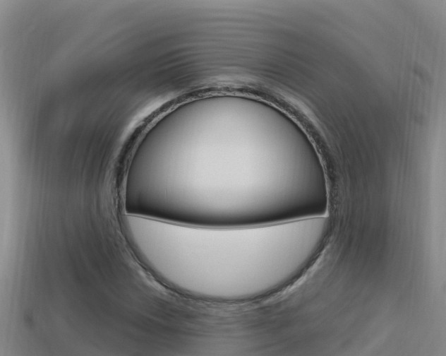 X0000114421018200910161049
