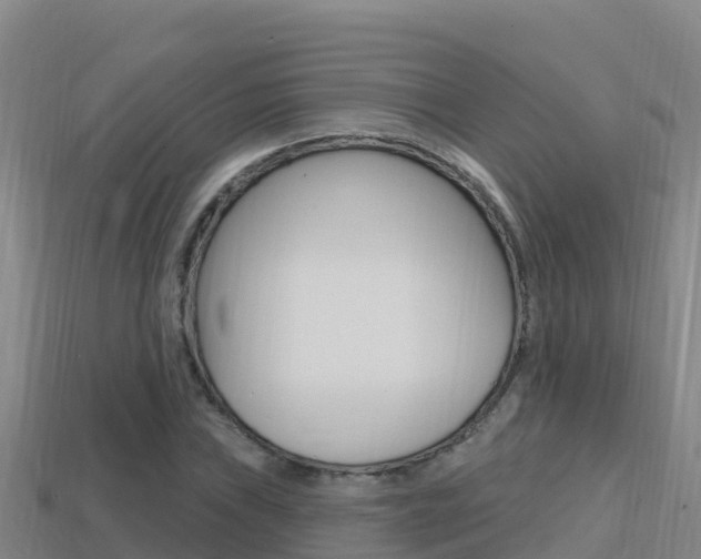 X0000114421019200910161049