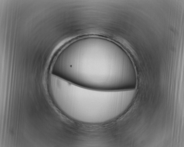 X0000114421024200910161049