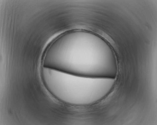 X0000114421028200910161049