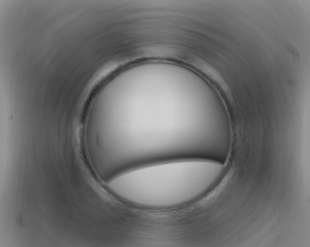 X0000114421029200910161049