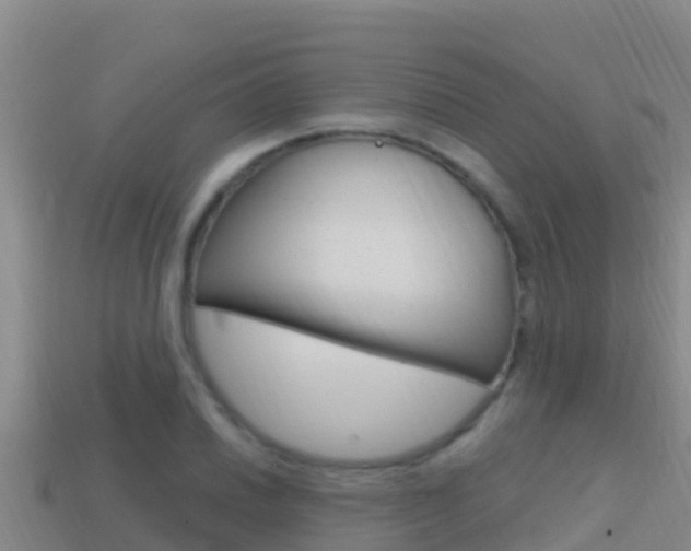 X0000114421030200910161049