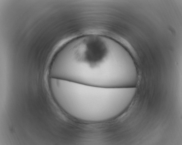 X0000114421035200910161049