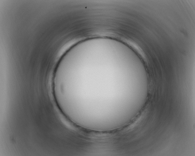 X0000114421039200910161049