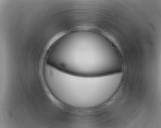 X0000114421042200910161049