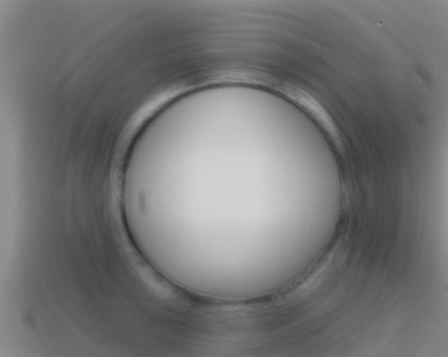 X0000114421043200910161049