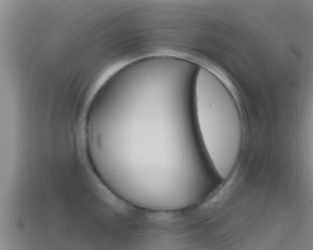 X0000114421048200910161049