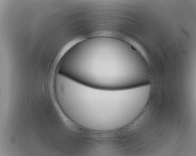 X0000114421050200910161049