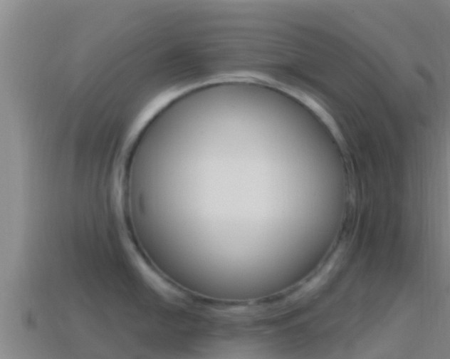 X0000114421054200910161049