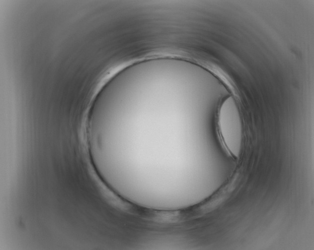 X0000114421055200910161049
